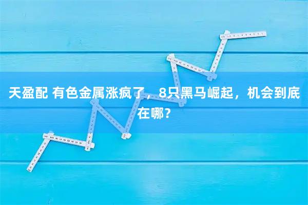 天盈配 有色金属涨疯了，8只黑马崛起，机会到底在哪？